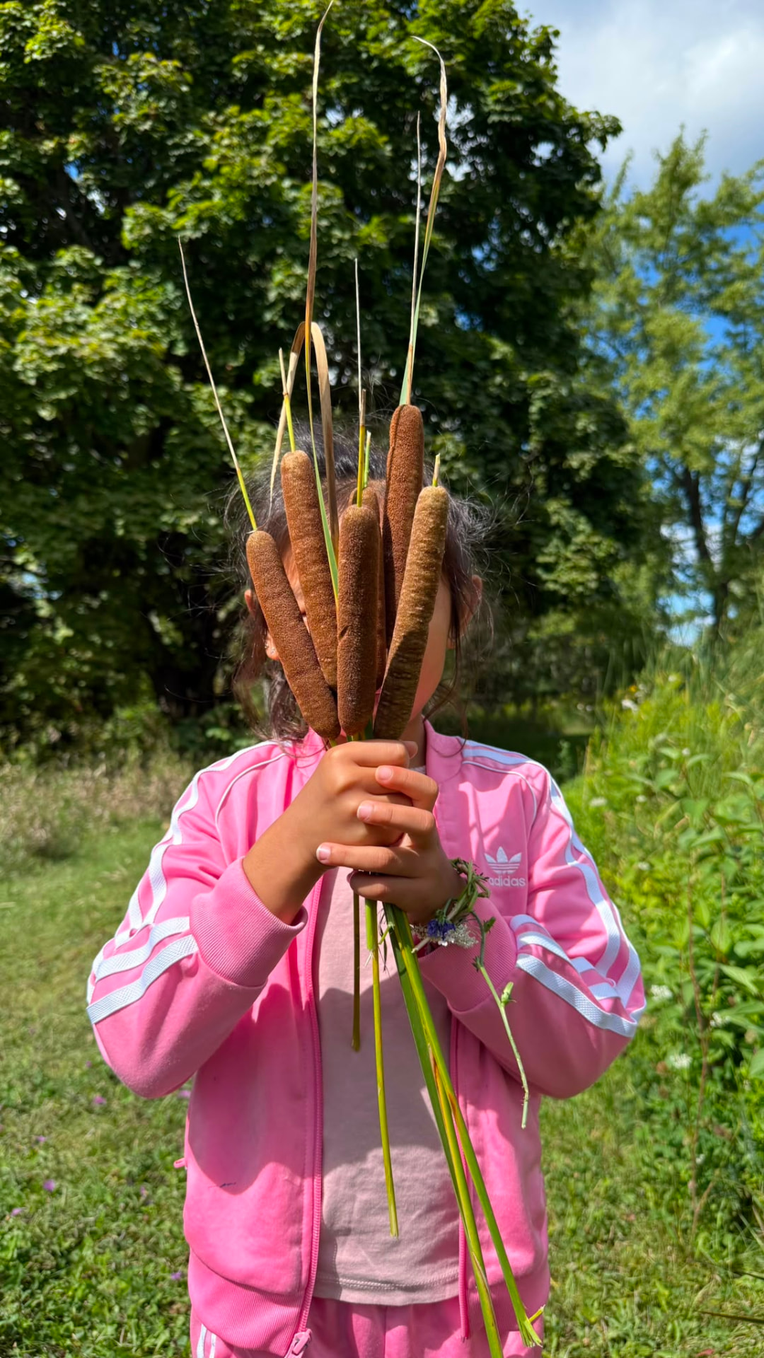 A child holding a bundle of cattails picked in the meadow
