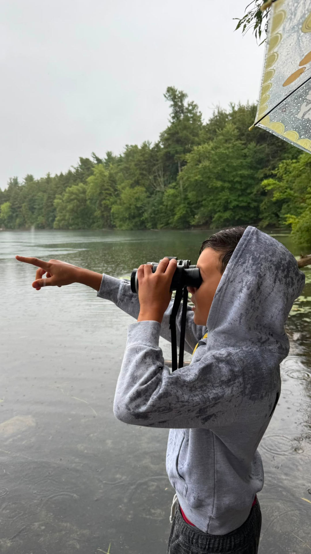 A child watching wildlife across the lake through binoculars