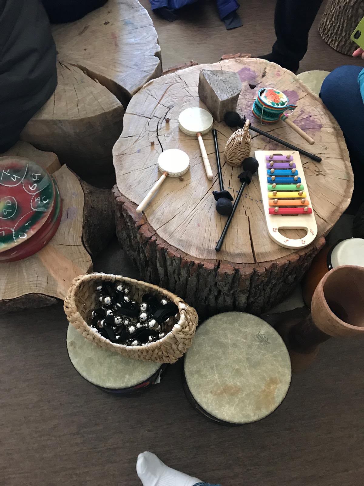 Hand drums and rhythm instruments arranged on tree stumps